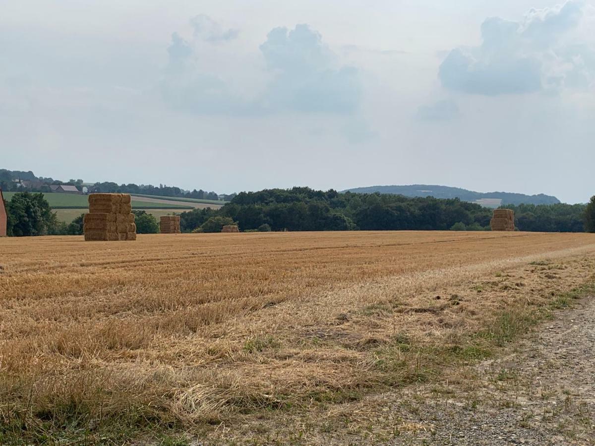 Ferienwohnung Am Bramschebach Lohne  Esterno foto